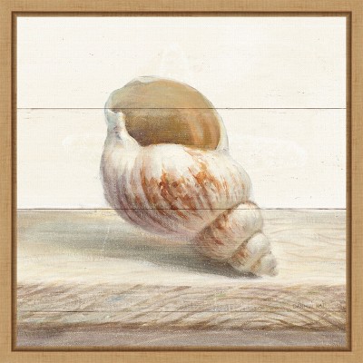 Amanti Art Driftwood Shell I by Danhui Nai Canvas Wall Art Print Framed 16 x 16-in.