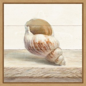 Amanti Art Driftwood Shell I by Danhui Nai Canvas Wall Art Print Framed 16 x 16-in. - 1 of 4