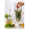 Kilner Fresh Herb Keeper – Glass Herb Storage Jar for Fridge - 4 of 4