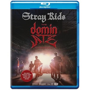 Stray Kids: The dominATE Experience (Blu-ray) : Target