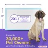 PetsWorld Massive (28x44 inch) Dog Training & Potty Pads Pads - 2 of 4