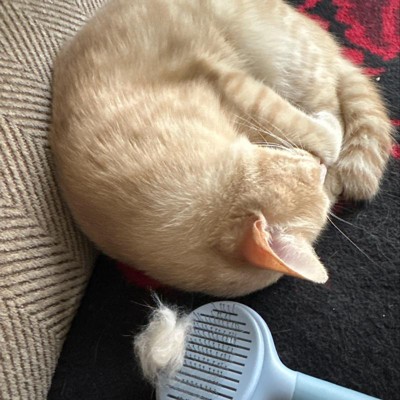 Target cat sale brush