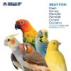 Prevue Pet Products Cluster of Fun - Playfuls Forage & Engage Bird Toy 60241 - 3 of 3