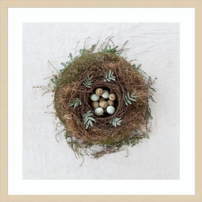 Amanti Art Winter Nest by Tania Soderman Wood Framed Wall Art Print