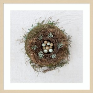 Amanti Art Winter Nest by Tania Soderman Wood Framed Wall Art Print - 1 of 4