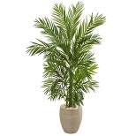 60" Artificial Areca Palm Tree in Planter - Nearly Natural