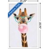 Trends International Reinders - Funky Giraffe Framed Wall Poster Prints - 3 of 4