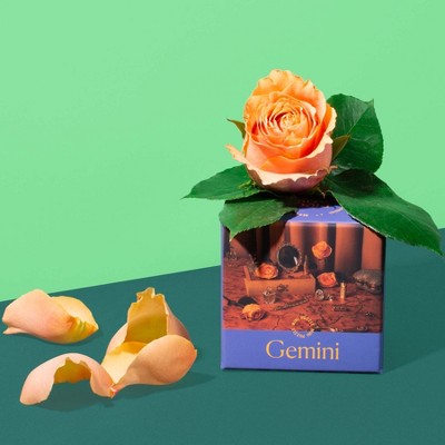 Piecework Puzzles - Gemini
