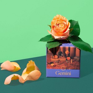 Piecework Puzzles - Gemini - 1 of 4