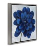 Stupell Industries Modern Deep Blue Floral Carnation, 18" x 18" - 3 of 4