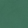 uniform green