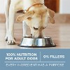 Purina ONE +Plus Joint Health Natural Chicken Flavor Dry Dog Food - 16.5lbs - 4 of 4