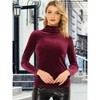 Allegra K Women's Solid Turtleneck Velvet Long Sleeve Work Basic Velour Blouse - 2 of 4