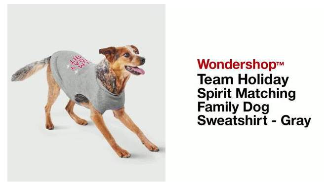 Team Holiday Spirit Matching Family Dog Sweatshirt - Wondershop™ - Gray , 2 of 5, play video