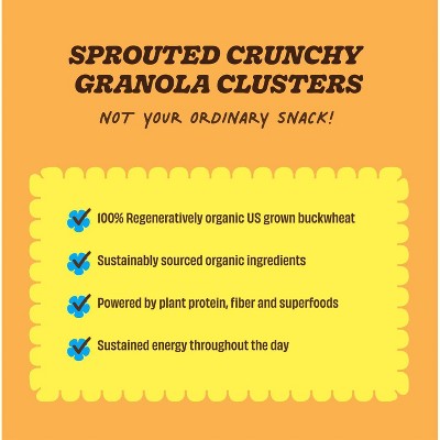 Lil Bucks Organic Bucks 'n Honey Clusterbucks Granola - 6oz