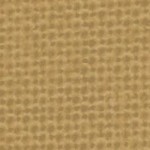 central florida golden knights