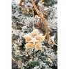 Gallerie II Sea Star Shells Star Ornament - 3 of 3