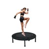 Mini Steel Trampoline, Indoor Fitness Exercise, Maximum Load Capacity 330 Pounds, for Adults or Kids - 2 of 4