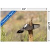Trends International The Comedy Wildlife Photography Awards: Wendy Kaveney - That Wasn't Here Yesterday Unframed Wall Poster Prints - 3 of 4