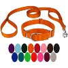 Country Brook Design Martingale Heavyduty Nylon Dog Collar and Double Handle Leash - 4 of 4