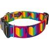 Country Brook Petz 1 1/2 Inch Deluxe Dog Collar - Affection Collection - 4 of 4