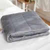 Machine Washable Faux Mink Weighted Blanket - PUR & CALM - 2 of 4