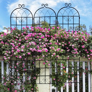 Tall Metal Garden Arch Trellis, Plant Support for Climbing Roses, Cucumbers and Flowers – The Pop Home - 1 of 4