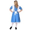 HalloweenCostumes.com Fun Costumes Womens Adult Deluxe Alice Costume. - 4 of 4