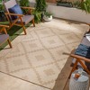 Mark & Day Kanawha 7'10"x10' Rectangle Woven Indoor and Outdoor Area Rugs Beige - 2 of 4