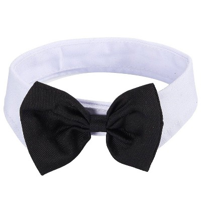 bow tie collar