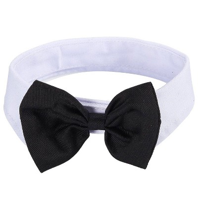 black bow tie cat collar