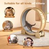 Heynemo Cat Exercise Wheel for Indoor Cats ¨C 46" Running Treadmill with Felt Track, Perfect for Small & Adult Cats, Natural Wood Color - 4 of 4