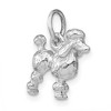 Black Bow Jewelry 14k White Gold 3D Textured Poodle Charm or Pendant - 4 of 4