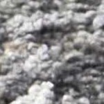 black, medium gray, charcoal, gray, ivory, tan