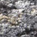 black, medium gray, charcoal, gray, ivory, tan