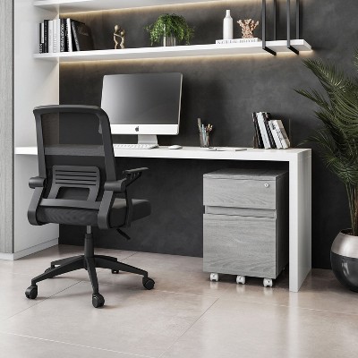 NicBex 2-Drawer Mobile File Cabinet Office Storage Organizer Under Desk Storage for Home, Office