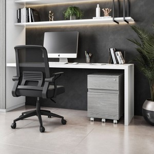 NicBex 2-Drawer Mobile File Cabinet Office Storage Organizer Under Desk Storage for Home, Office - 1 of 4
