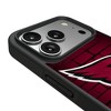 NFL NFC Teams 2025 Illustrated Bump Cell Phone Case for Apple iPhone 17 Series - 4 of 4
