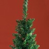 Whisen 8FT Unlit Pencil Christmas Tree with 618 Tips, Flame-Retardant, No-Hassle Setup & Easy Storage - Green - 3 of 4