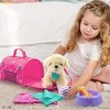 Plush Stuffed Puppy Dog 9 PCS Set for Baby Doll Accessories Fits for 18’’ American Girl Dolls - Play22Usa - 2 of 4
