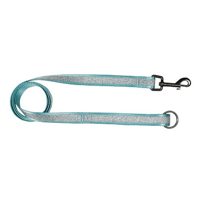 teal dog collar and leash