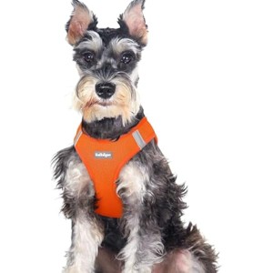 rabbitgoo Small Dog Harness, Step-in Soft Mesh Reflective Pet Harness for Large Dogs, Orange XXL - 1 of 1