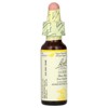 Bach Original Flower Remedies, Gorse, 0.35 fl oz (10 ml) - 4 of 4