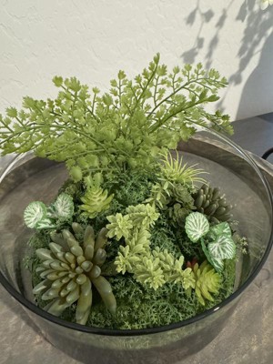 Guest review image 2 of 2, zoom in