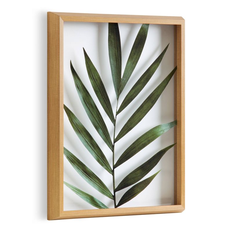 16&#34; x 20&#34; Blake Botanical 5F Framed Printed Glass by Amy Peterson Natural - Kate and Laurel, 1 of 10