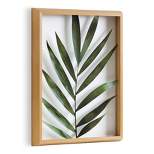 16" x 20" Blake Botanical 5F Framed Printed Glass by Amy Peterson Natural - Kate and Laurel