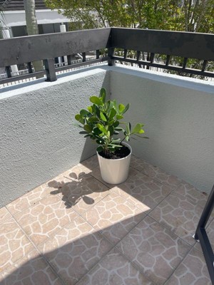 Guest review image 2 of 2, zoom in