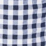 navy gingham