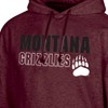 NCAA Montana Grizzlies Men's Hooded Sweatshirt - 3 of 3