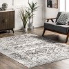 Nuloom Serena Pet Friendly Machine Washable Distressed Traditional Area Rug - 2 of 4